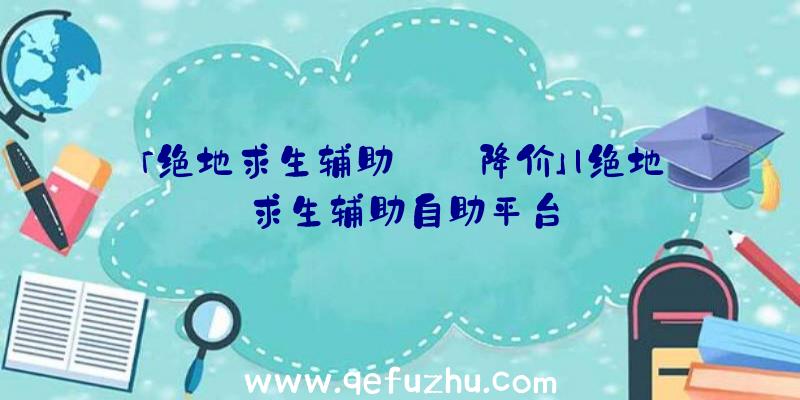 「绝地求生辅助